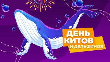 Всемирный день китов и дельфинов Всемирный день китов и дельфинов.
