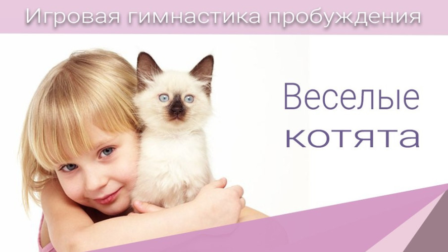 Веселые котята Веселые котята.